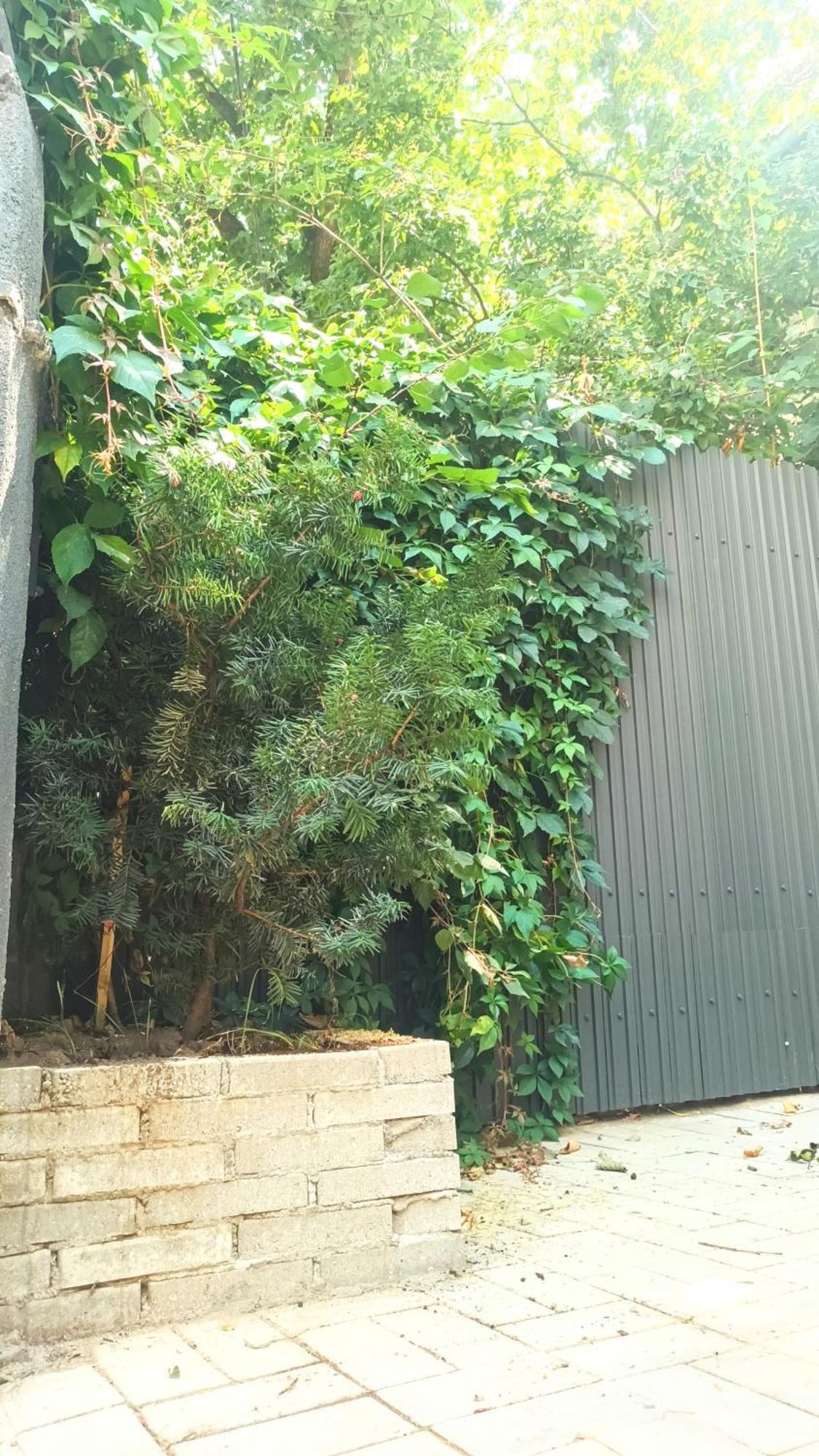 Littlehouse- Entire Property For Maximum 4 People 부쿠레슈티 외부 사진